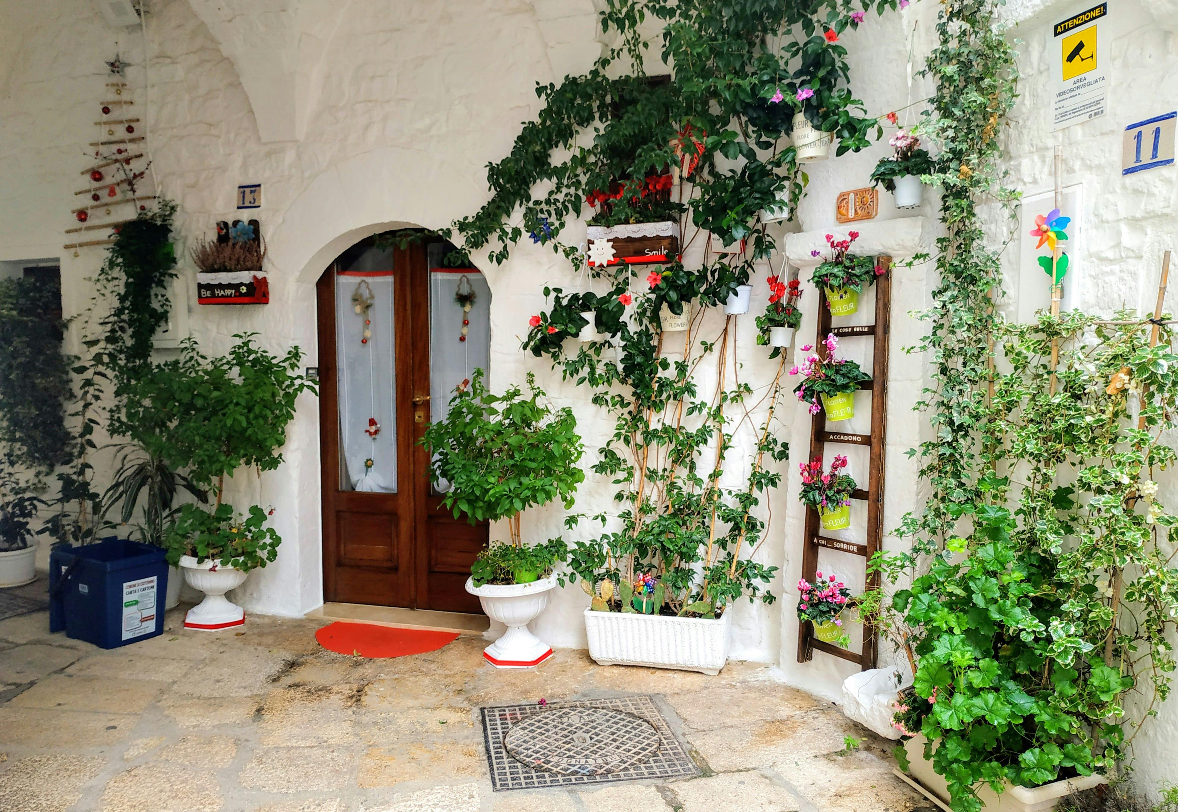 Culinary Tour of Cisternino