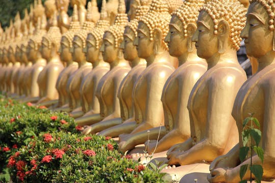 Pakse full-day private city tour