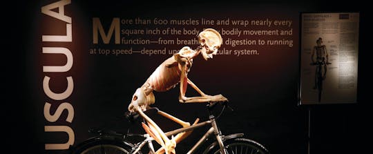 Entradas para 'Bodies ... The Exhibition' en Las Vegas