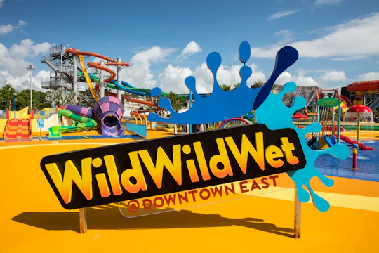 Wild Wild Wet Waterpark Entrance Ticket