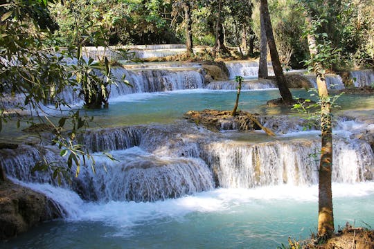 Full-day Kuangsi waterfall from Luang Prabang