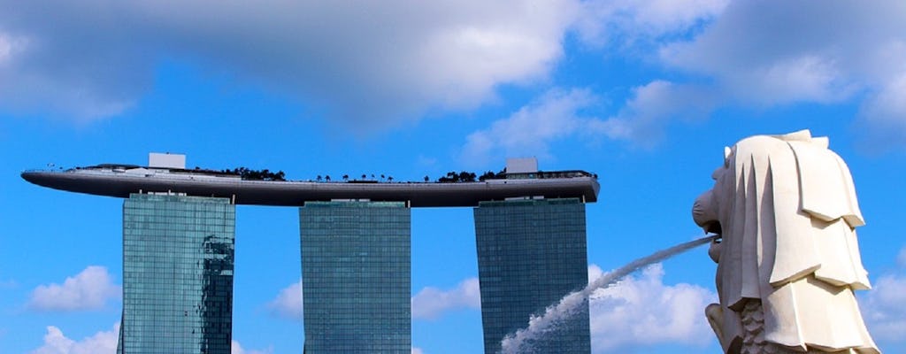Visite de la ville de Singapour avec croisière en bateau