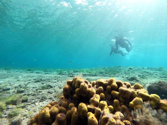 Las Canteras atrakcja snorkelingowa