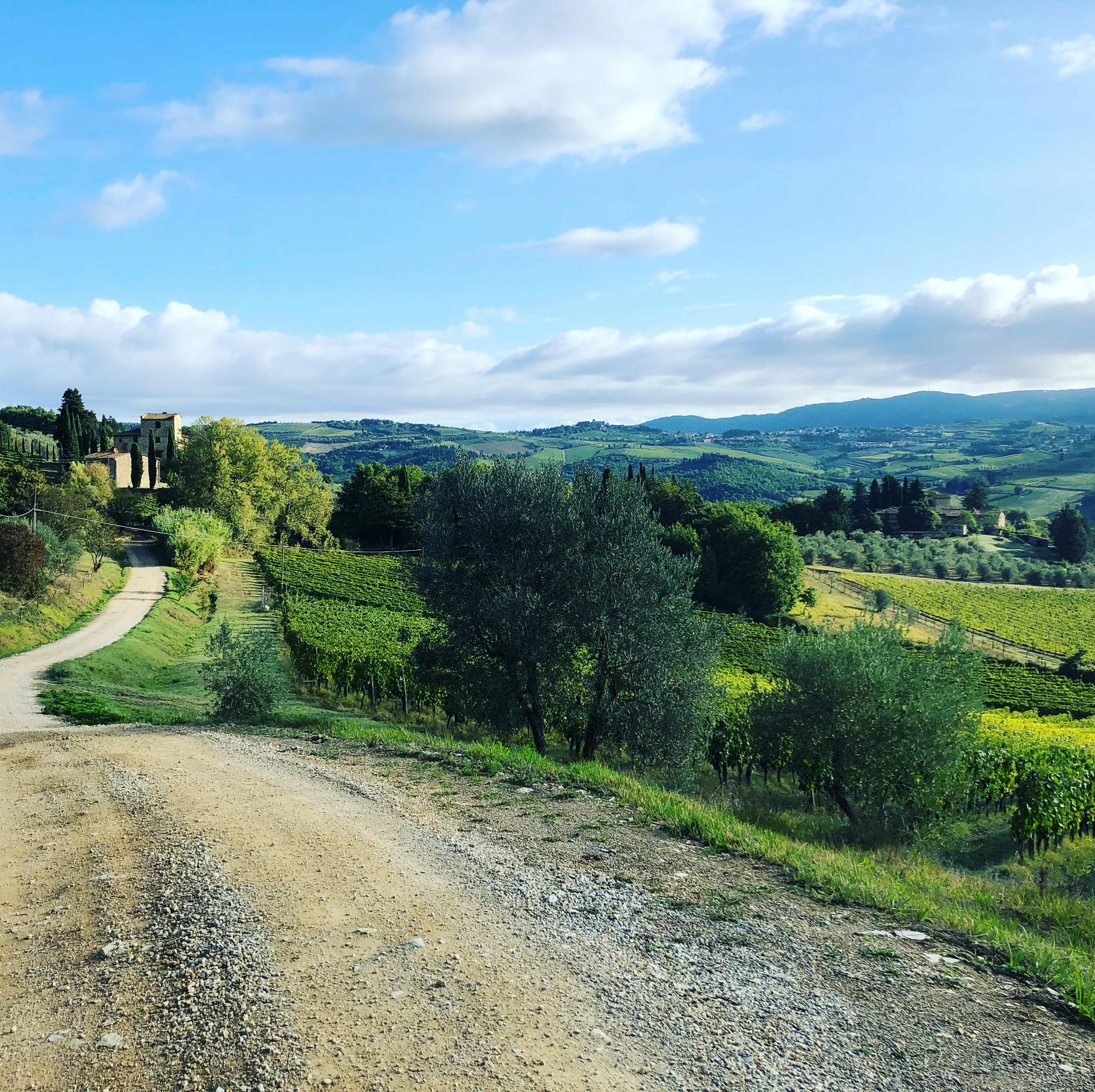 Wanderung in kleiner Gruppe und Weinprobe im Chianti mit Mittagessen