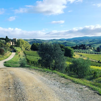 Small-group hike and wine tasting in Chianti with lunch