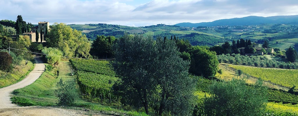 Kleingruppenwanderung und Weinprobe im Chianti mit Mittagessen