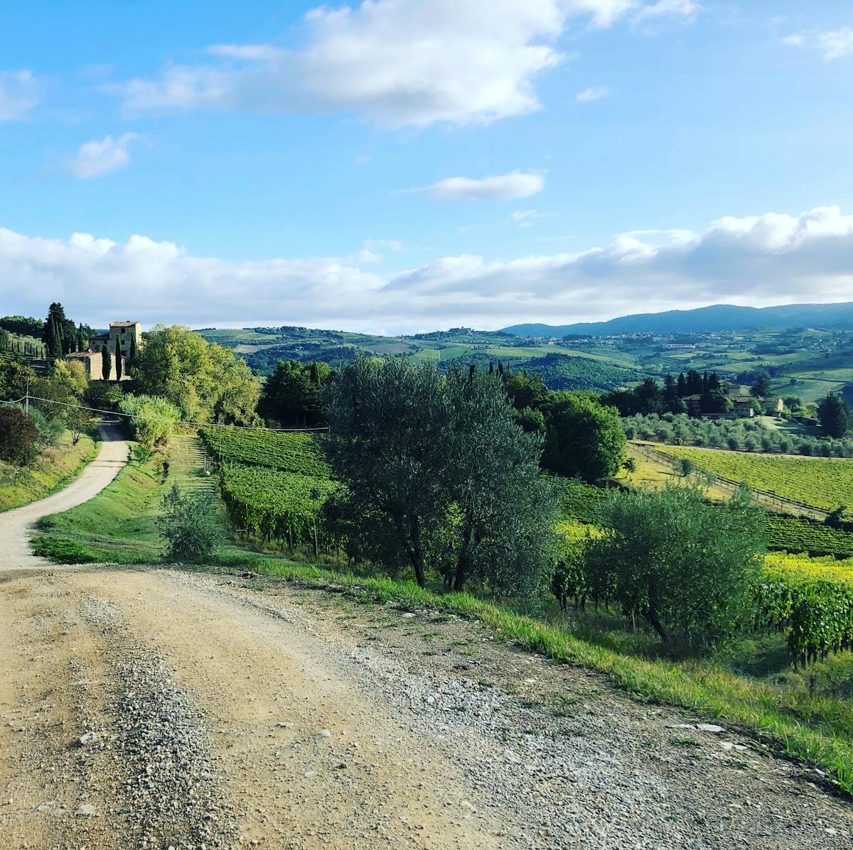 Escursione in piccoli gruppi e degustazione di vini nel Chianti con pranzo