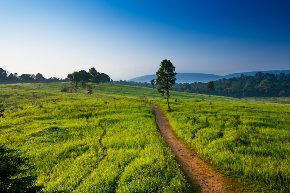 Nakhon Ratchasima: What to Do, What to Book, and How to Plan It (Tips + FAQ)