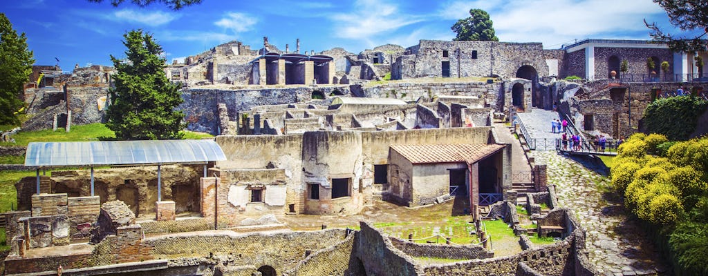 Excursion privée à Pompéi, à Herculanum et au Vésuve