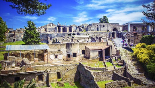 Tour privato di Pompei, Ercolano e Vesuvio