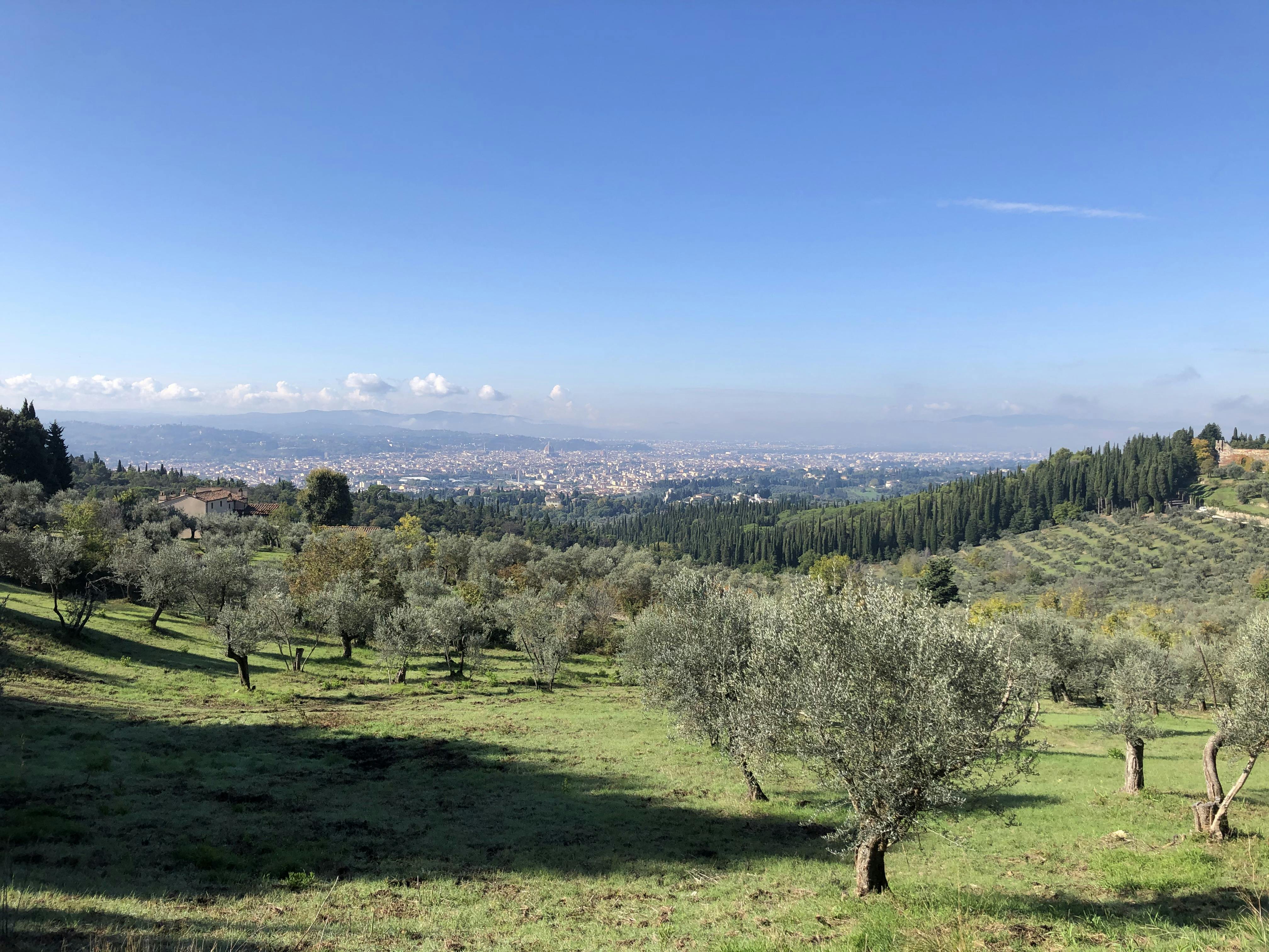 Half-Day Hiking Tour in Fiesole's Hills with Wine and Lunch