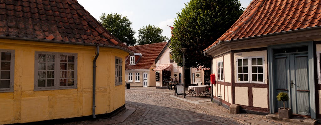 Odense - In the footsteps of H. C. Andersen private tour