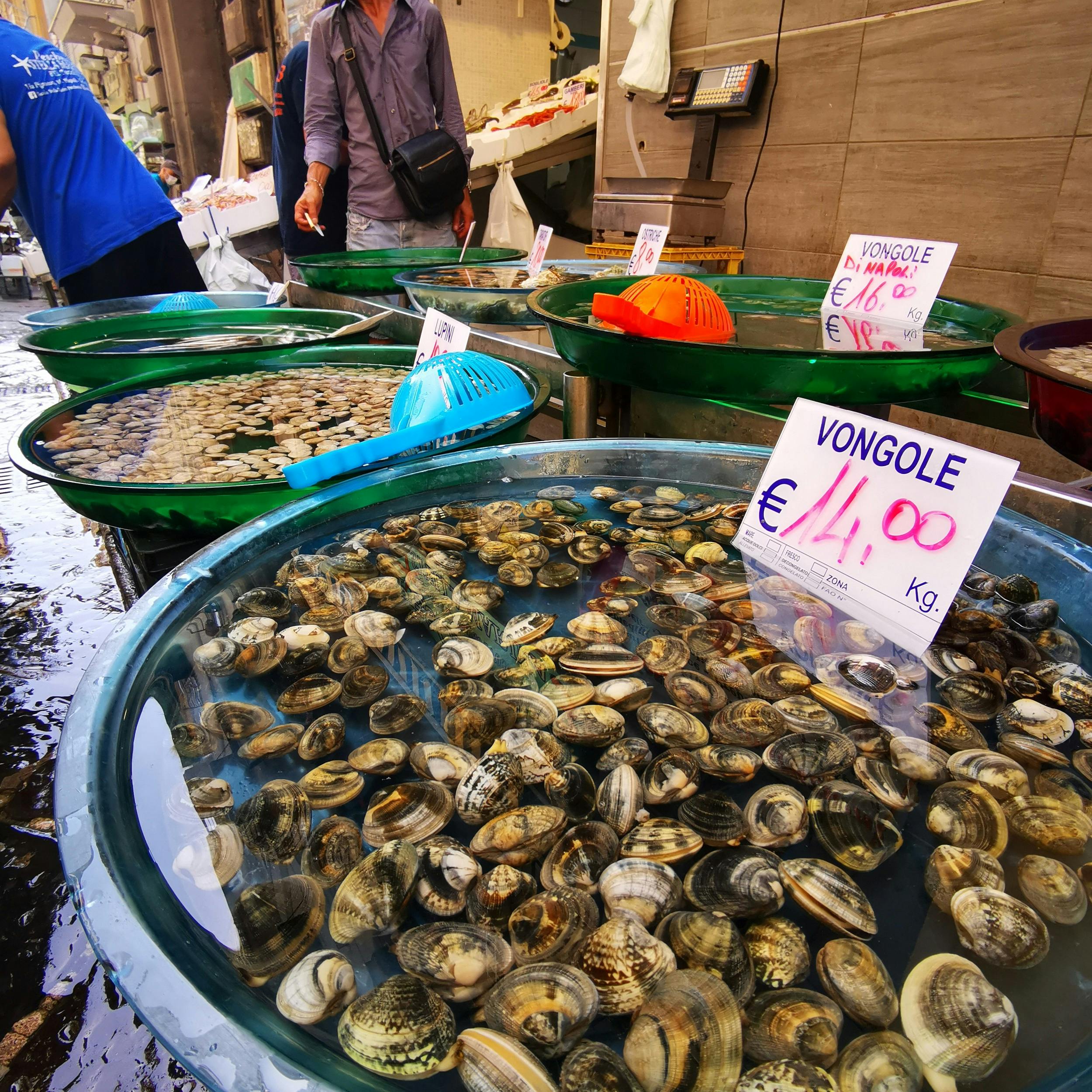 Naples street food experience in the historic center