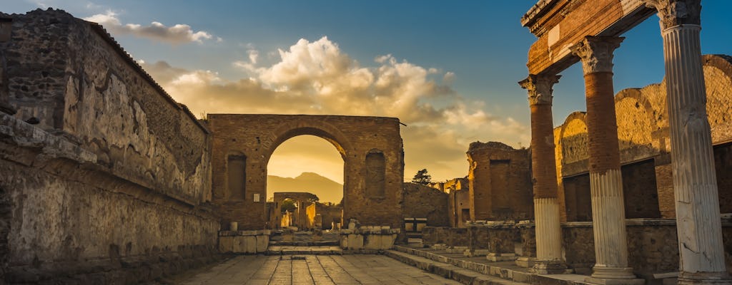 Priority entrance to Pompeii with transfer from Naples