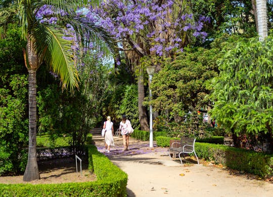 Malaga Elektrische Auto Tour