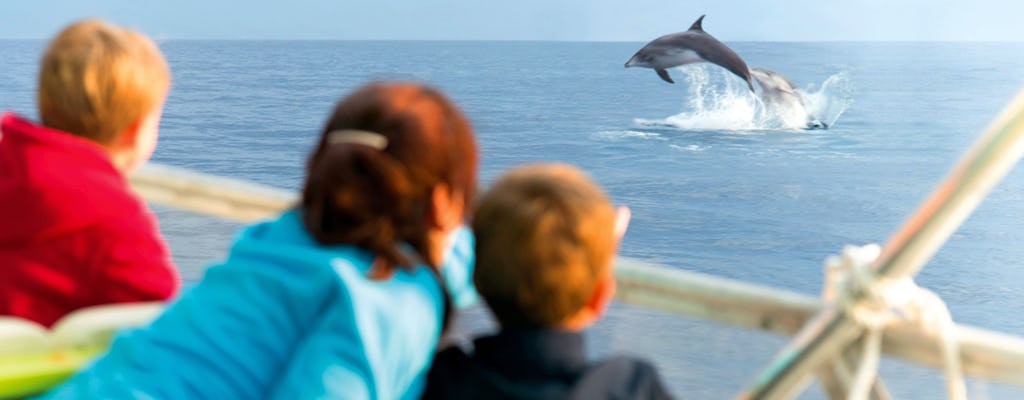 Majorca Sunrise Dolfijnen Cruise met Transfer