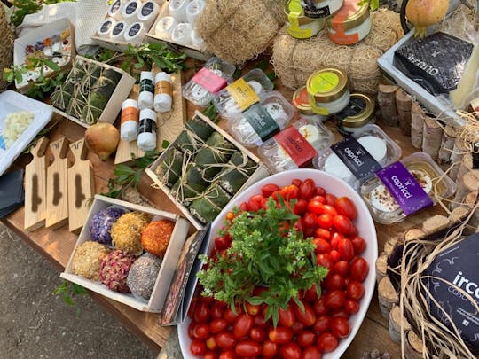 Degustazione di formaggi sardi a Oliena