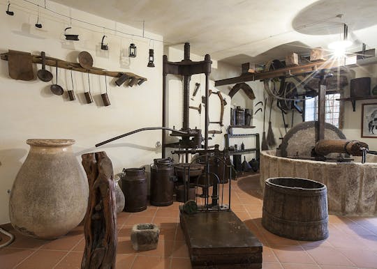 Dorgali Park Museum guided tour