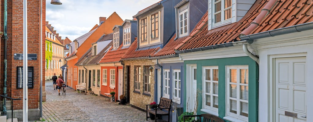 Private Stadtrundfahrt durch Aalborg mit lokalem Guide