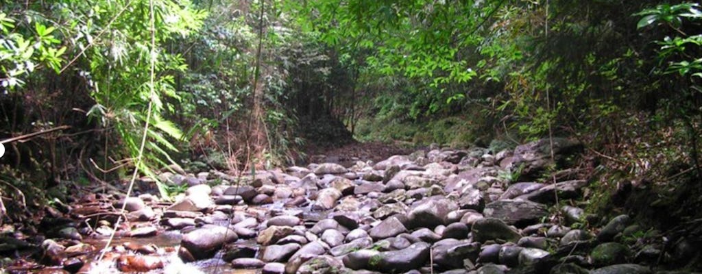 Jednodniowa wycieczka trekkingowa do Parku Narodowego Bach Ma z Danang