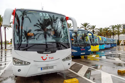 Loro Parque Transfer from Tenerife South
