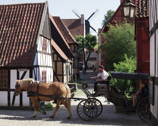Aarhus Den Gamle Par visite privée à pied