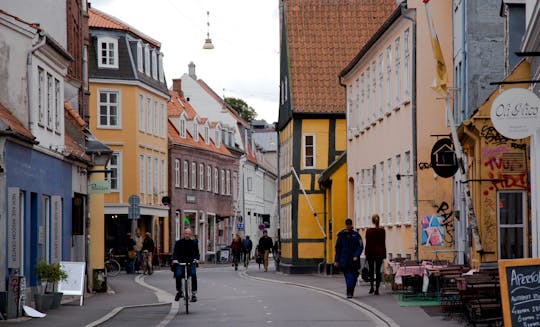 Tour à vélo d'Aarhus avec un guide local