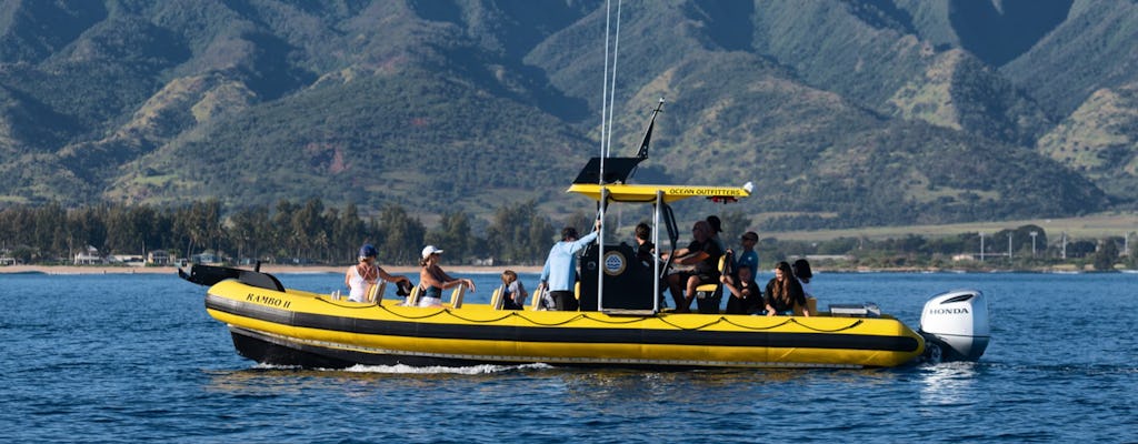 Tour guidato in barca della vita marina di 1,5 ore a Oahu