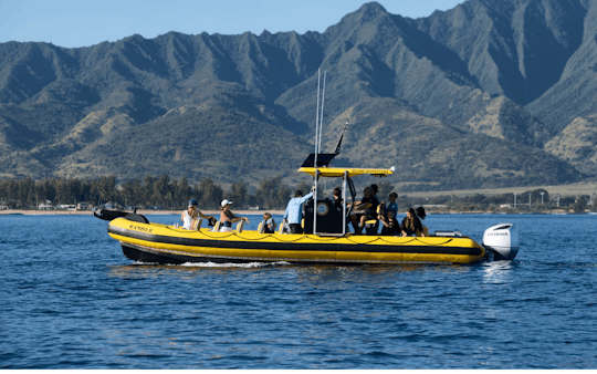 Tour guidato in barca della vita marina di 1,5 ore a Oahu