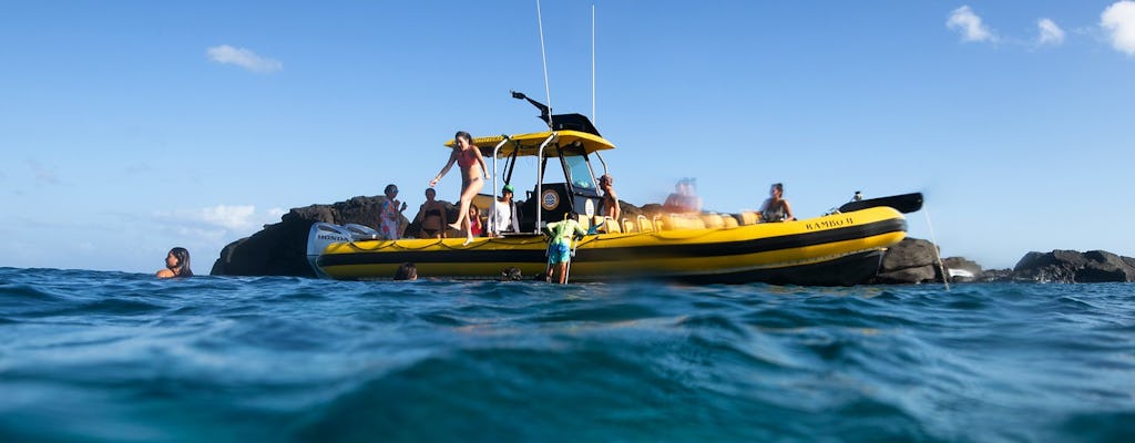 Fretamento de barco privado na costa norte de Oahu