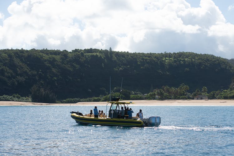 1.5-hour guided marine life boat tour in Oahu