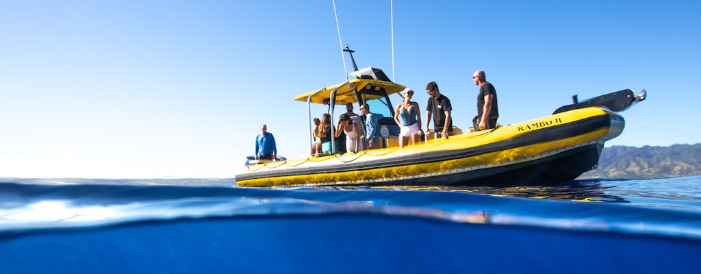 North Shore Oahu snorkeling tour