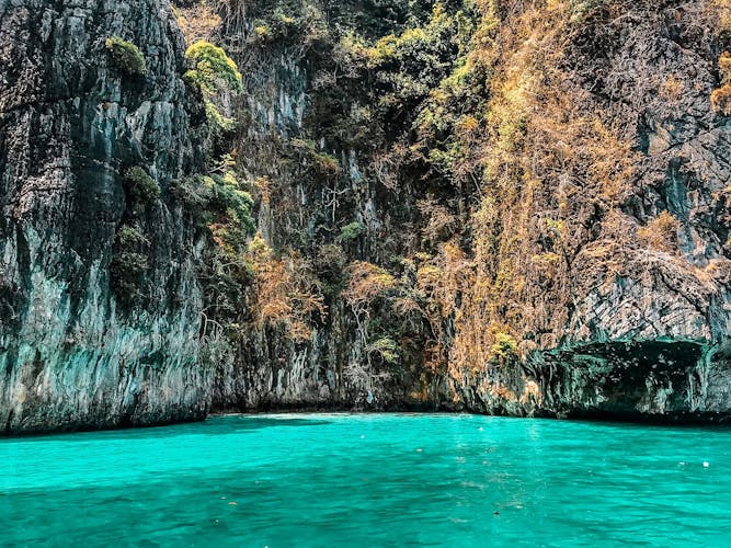 Phi Phi Island private boat tour