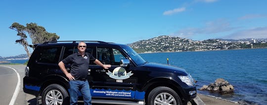 Tour guiado de dia inteiro pela cidade e costa de Wellington