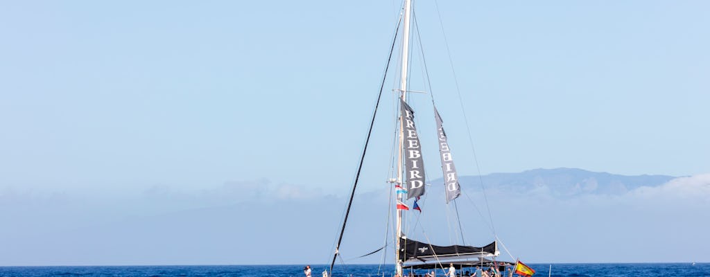 Exclusive Freebird Catamaran Whale & Dolphin Cruise to Masca