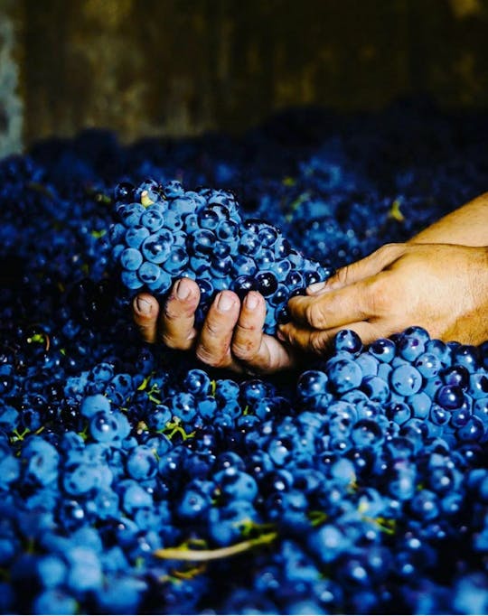 Tour naar 's werelds grootste wijnkelder Milestii Mici