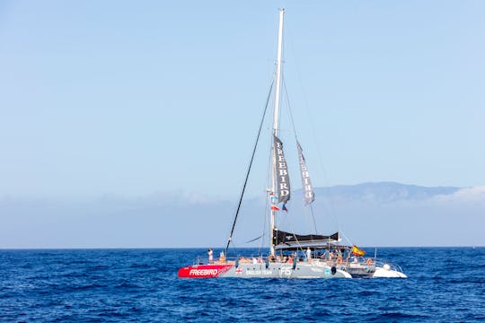 Exclusive Freebird Catamaran Whale & Dolphin Cruise to Masca