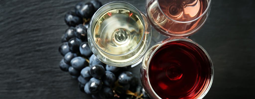 Geführte Speisen- und Weinverkostung in einem Bio-Weingut in der Nähe von Urbino