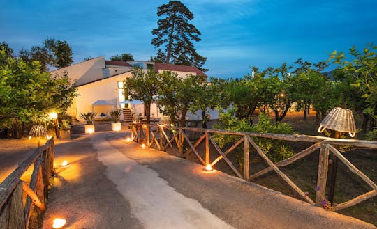 Abendessen im Zitronenhain eines Bauernhauses in Sorrent