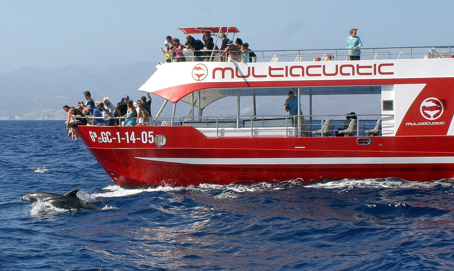 Dolphin Safari Cruises Gran Canaria