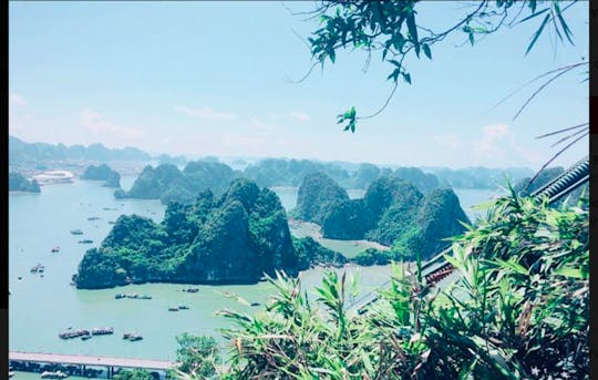Excursion d'une journée à terre dans la baie d'Ha Long depuis le port d'Ha Long