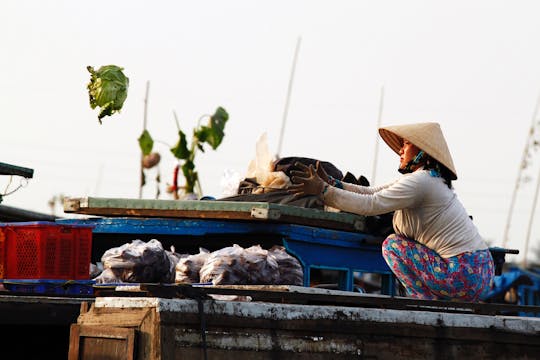 Ganztägiger Landausflug ins Mekong-Delta ab dem Hafen von Ho Chi Minh
