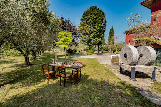 Light lunch with olive oil tasting at an oil mill by Lake Garda