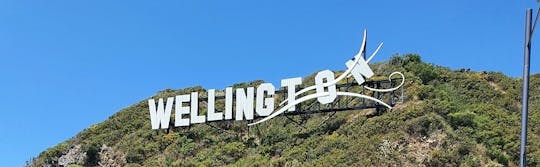Tour guiado de meio dia pela cidade e costa de Wellington