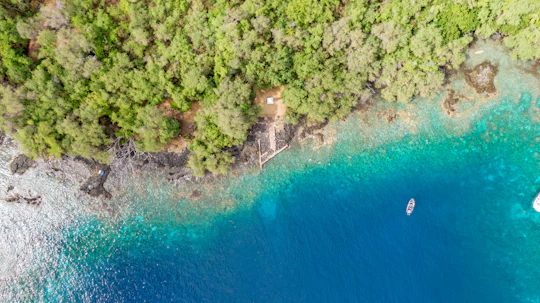 4-hour Kealakekua Bay snorkeling adventure