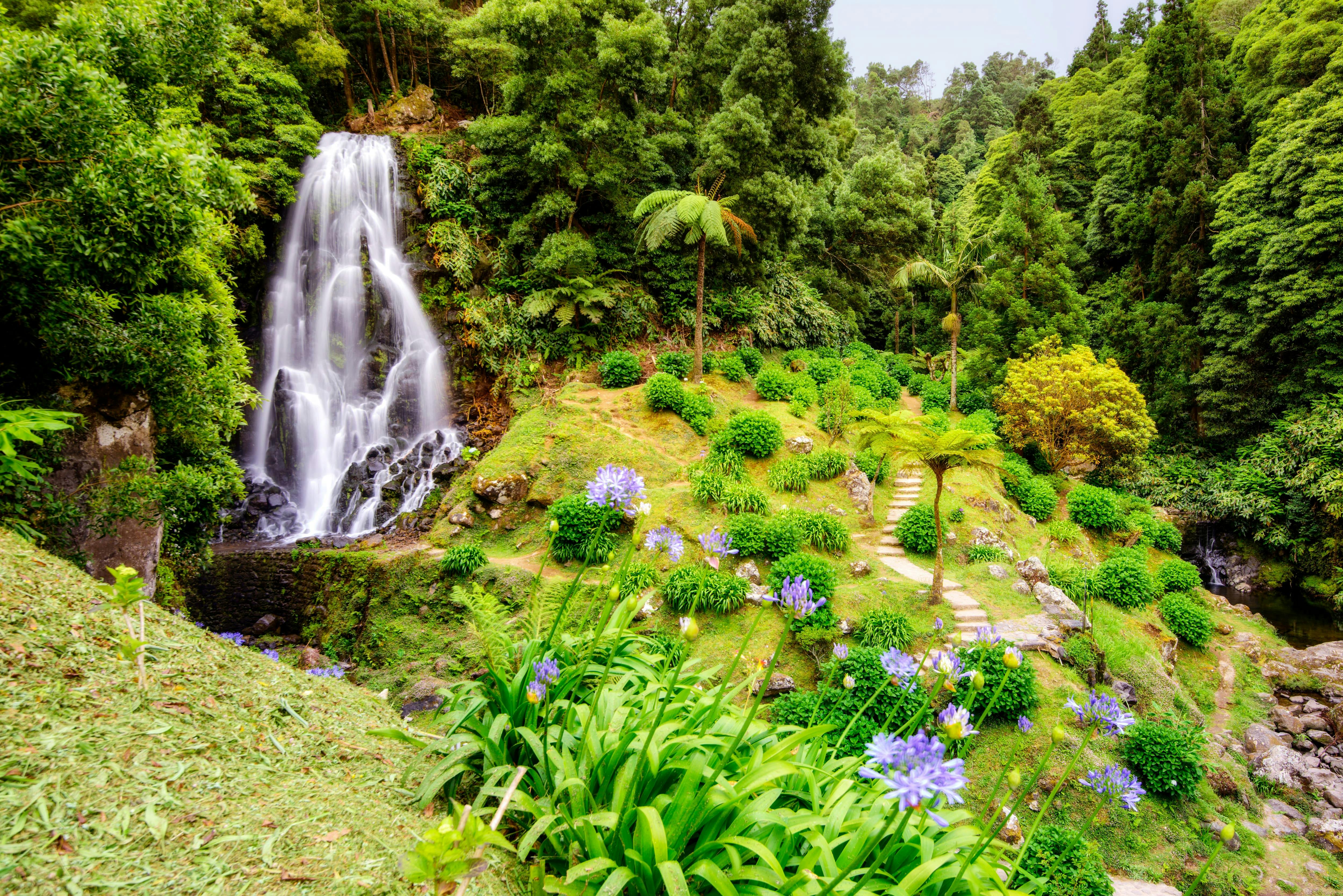 Visite en petit groupe de l'est de São Miguel