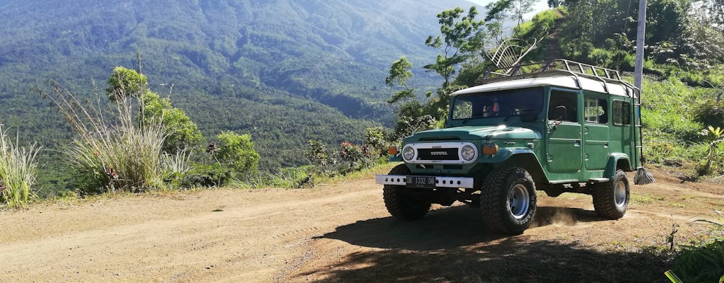 Eastern Bali 4x4 Tour with Salak Plantation & Cooking Class