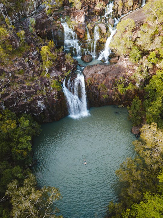 Cedar Creek Falls and Coral Sea Resort tour with lunch