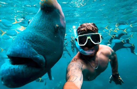 Tongarra Whitsundays cruise and snorkeling with lunch