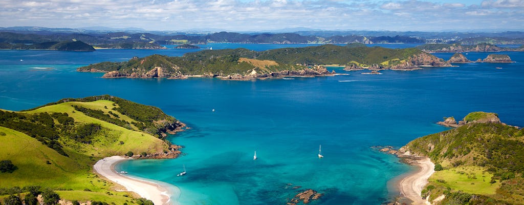 Bay of Islands-tour